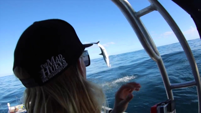 Mako shark out from point perron