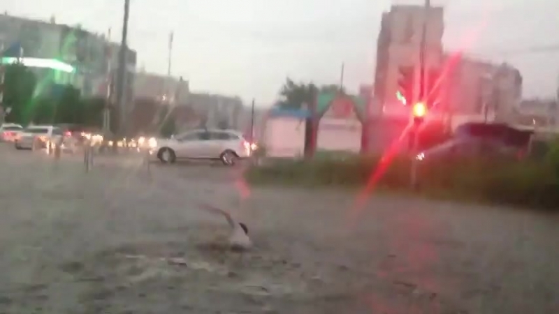 Пошел, плыви