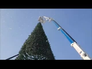 Пока, ёлочка! (barnaul22)