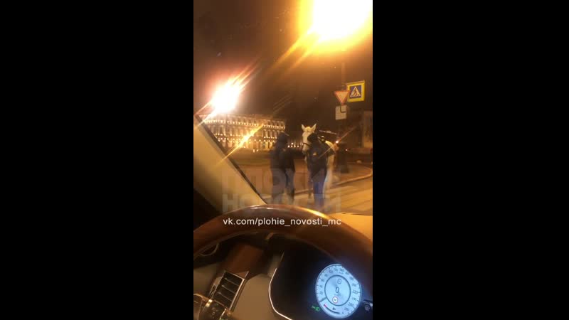 Пьяная наездница | плохие новости | plohie novosti