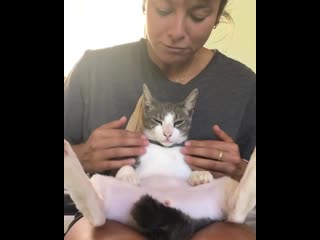 Nora vasconcellos и кошак / йога