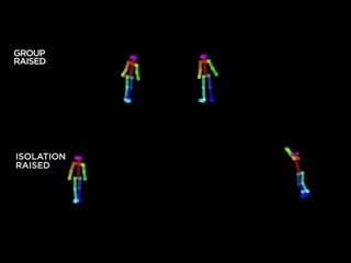 Dance your phd 2019 social experiences in larval zebrafish and their brains