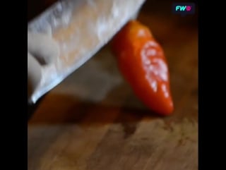 Felipe colombo picante