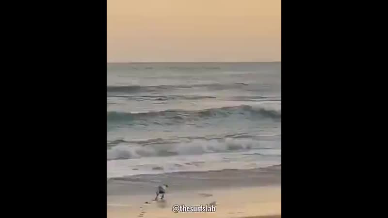 Неугомонный п сик (480p) mp4