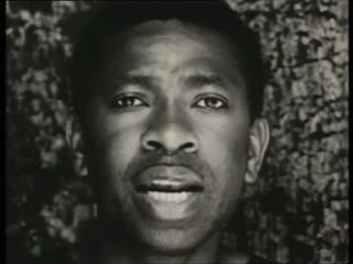 Y n dour n cherry 7 seconds