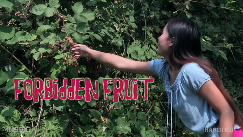 Elle voneva forbidden fruit