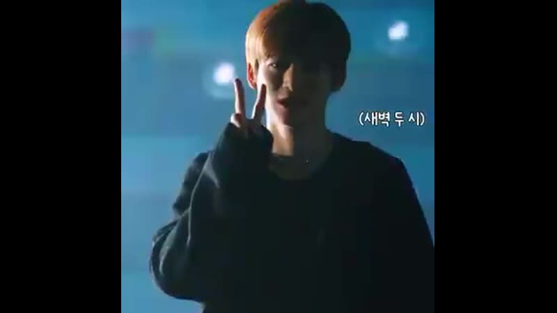 Jungmo \\ little kitten