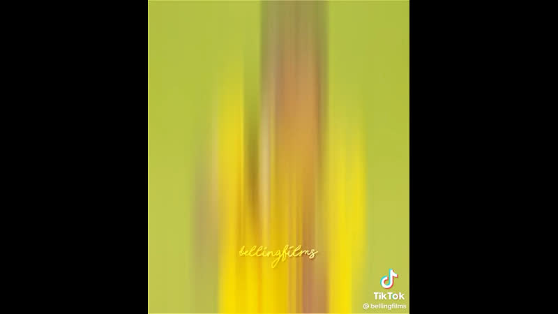 Джуд беллингем