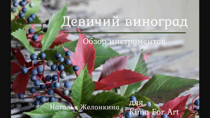 Девичий виноград обзор инструментов