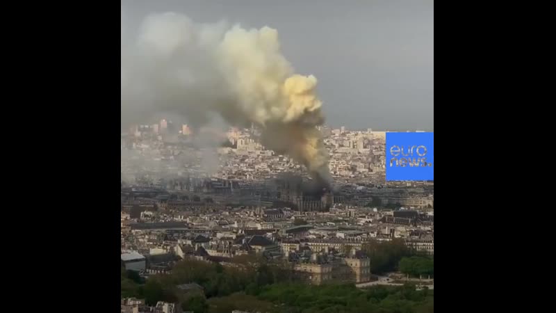 Нотр дам сгорит полностью представитель собора