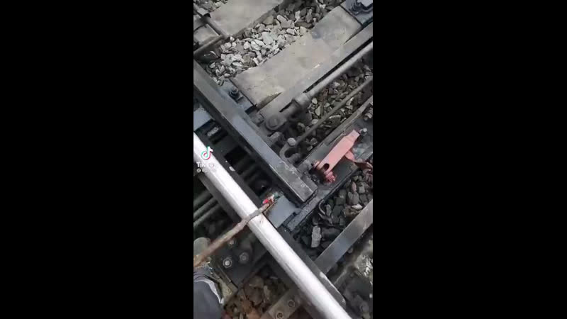 Девиз любой конторы