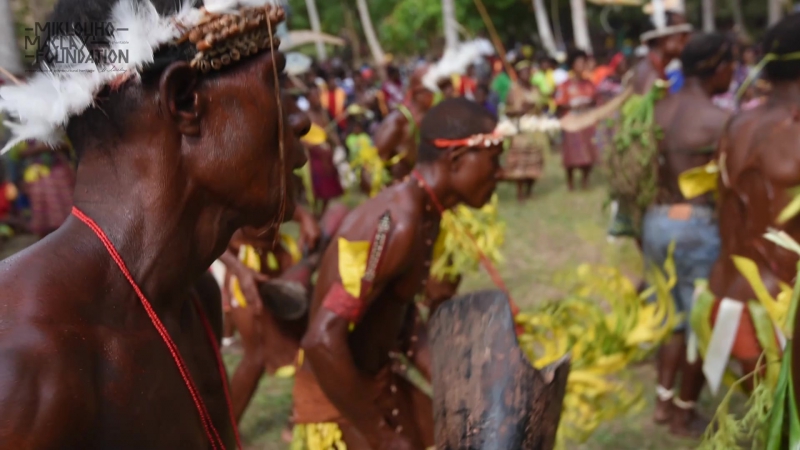 Экспедиция маклая папуа новая гвинея, сентябрь октябрь 2017