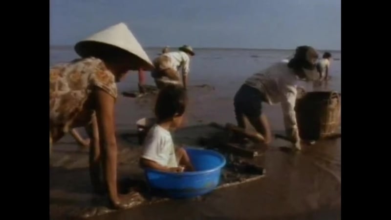 Повторное открытие мира #40 вьетнам и камбоджа молодые риса и пороха