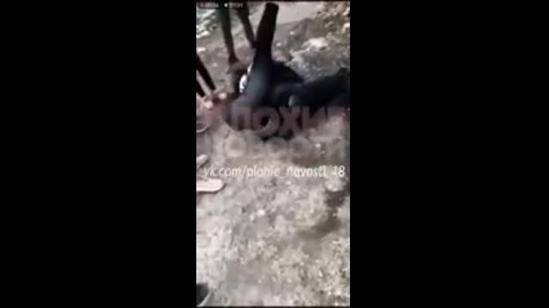 Жестокая драка школьниц в октябрьском