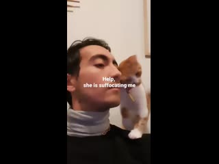 Две коти 🐈