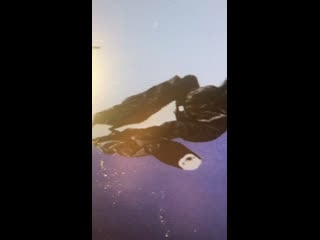 Murdered by the ben gunn