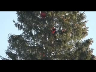 Vid 20201212 092937 mp4