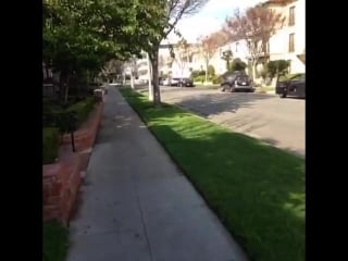 Sistine stallone so sketch