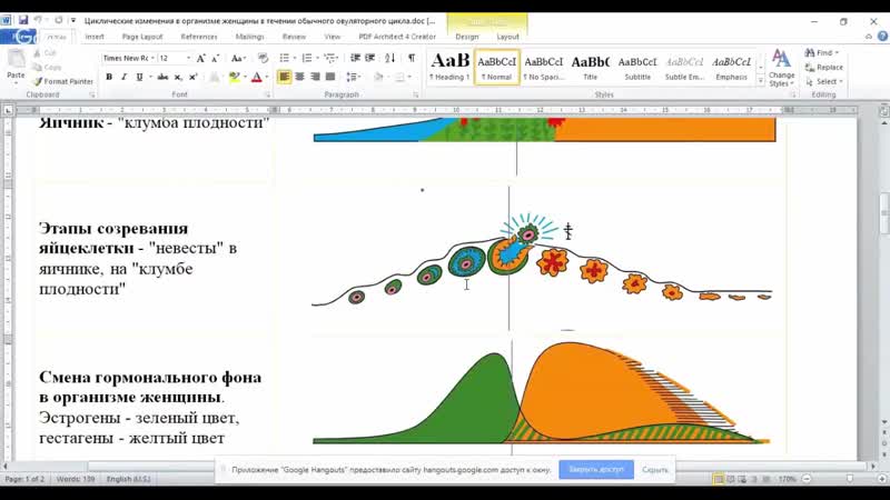 Как появляются двойняшки или близнецы поможет ли стмрп определить беременность двойней