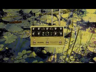 Strymon volante / sound on sound looper