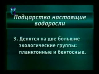 Урок 2 классификация растений водоросли