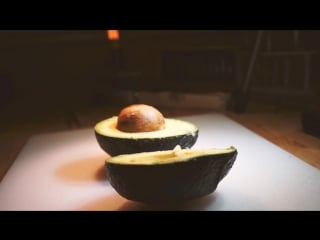 Avocado in vitro fertilization