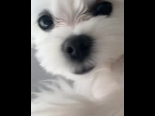 190617 joy (red velvet) @ haetnimee instagram