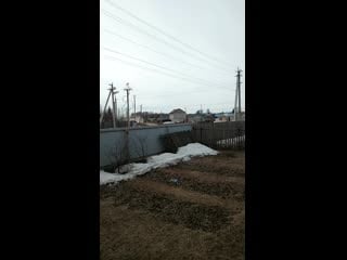 Video 20200408 114928 mp4