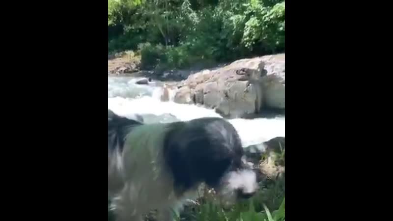 New insta story @neslihanatagul @kadirdogulu neslihanatagül neslihanatagul kadirdogulu kadirdoğulu neskad vuslat