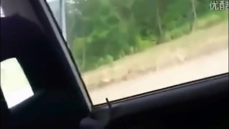 Русский мужик, защитил свою семью