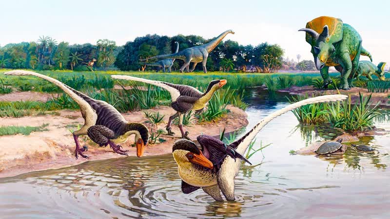 Палеонтология обзор научных исследований