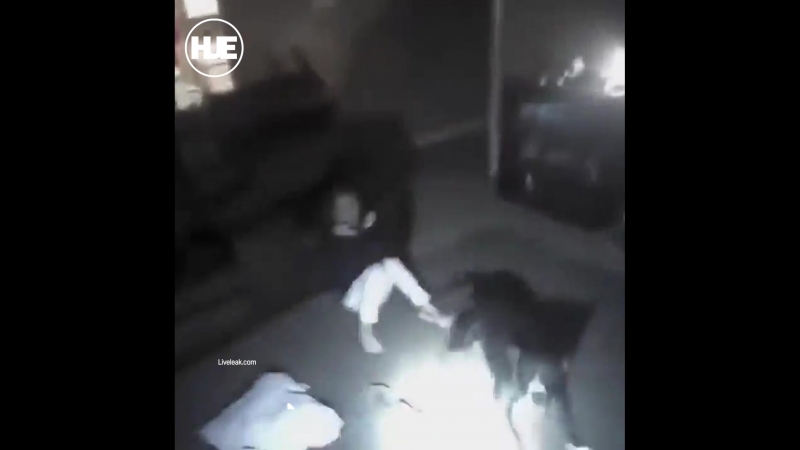 В канзасе полицейский подстрелил девочку