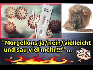 "morgellons ja/nein/vielleicht und sau vieles mehr!!!"