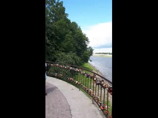 Live лесные прогулки