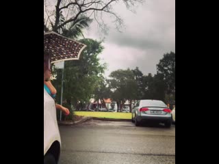 Strutting in the rain