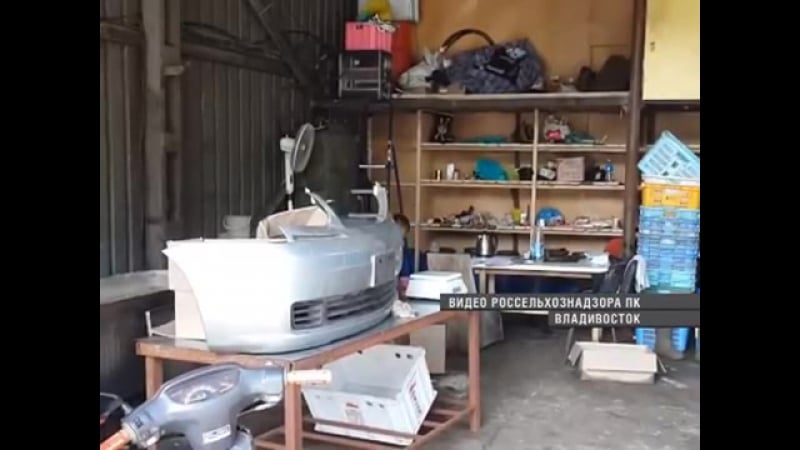 Во владивостоке ликвидировали подпольный цех по переработке краба