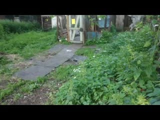 Vid 20200629 191005 mp4