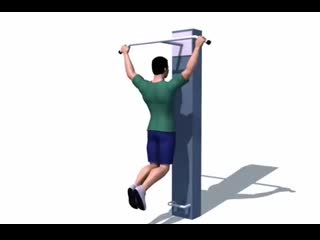 Подтягивания к груди широким хватом mp4