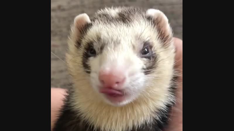 Разбудила покорми! 😋