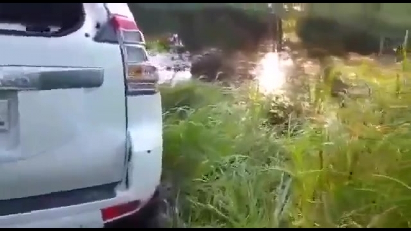 3 ляма в говно (vhs video)