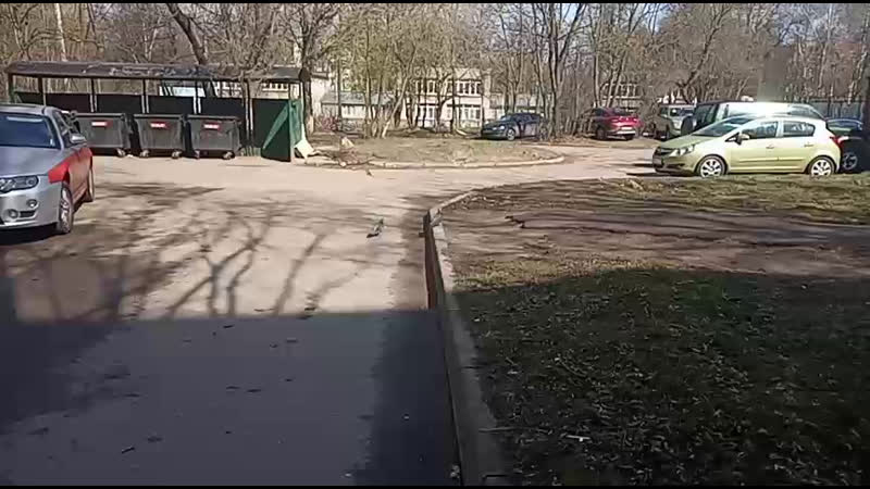 Велопрогулки в королёве live