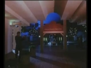 Cynthia rothrock guardian angel (1994)