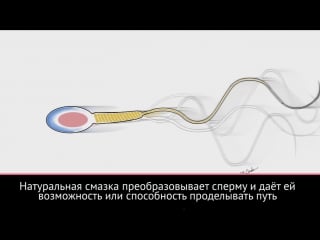 Alura видео о капацитации мужского семени