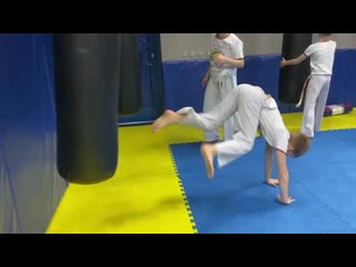 Raposa capoeira sf