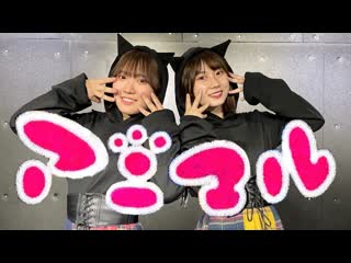 ~【アヤネ×りのん】アニマル 踊ってみた【あやのん】 niconico video sm40437287