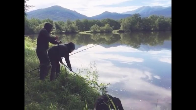 Мощная поклеа