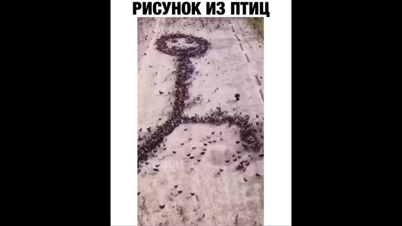 Мужик голодным не останется даже индюка прикормил😂🤣