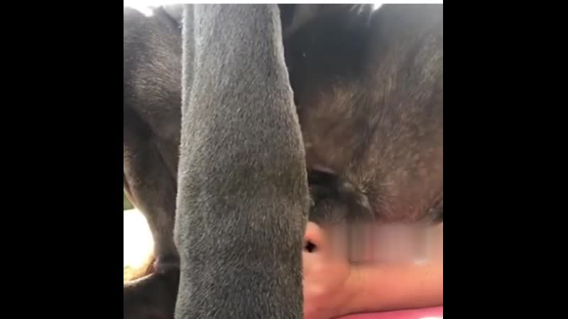 Время гонять шары