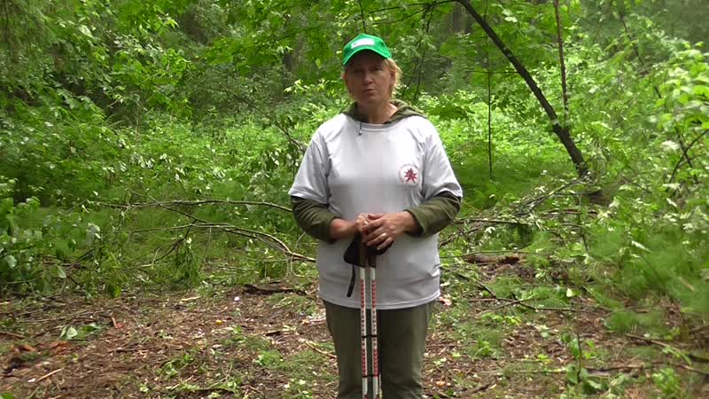 Тропою здоровья