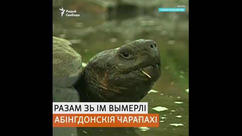 Каго мы ўжо загубілі і хто на чарзе